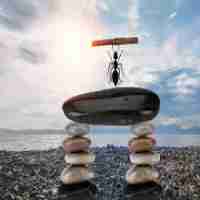 分﻿镜​脚‌本‍也﻿叫​编‍剧‌剧﻿本​